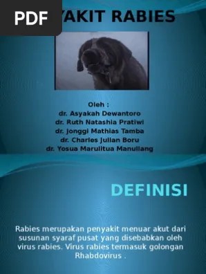Power Point Penyuluhan Rabies 1 | PDF