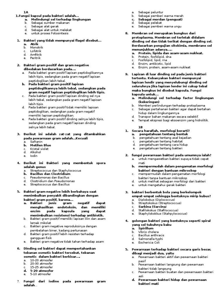 Soal Tentang Bakteri Dan Jawabannya – Mudah