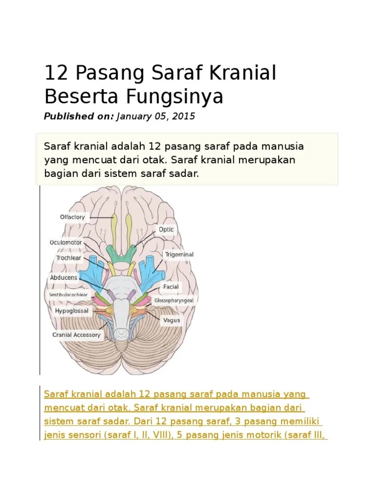 12 Pasang Saraf Kranial Beserta Fungsinya | PDF