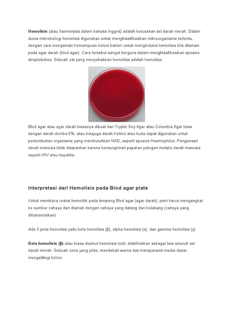 Tugas Mikrobiomedik | PDF