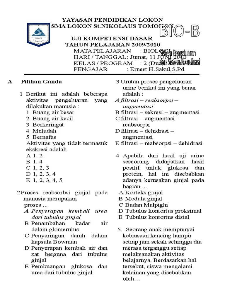 Sistem Ekskresi | PDF