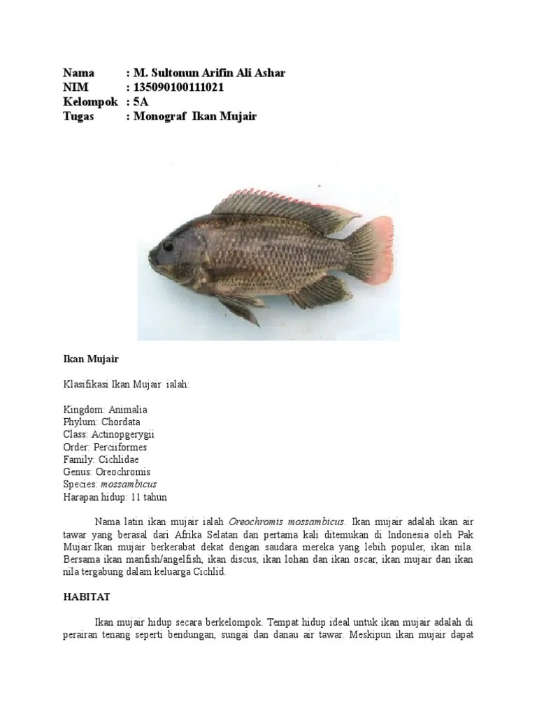 M. Sultonun Arifin Monograf Ikan Mujair | PDF