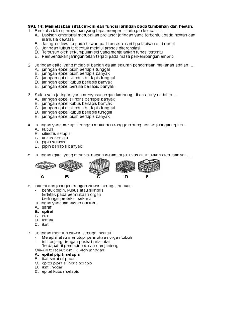 SKL 14 Jaringan | PDF