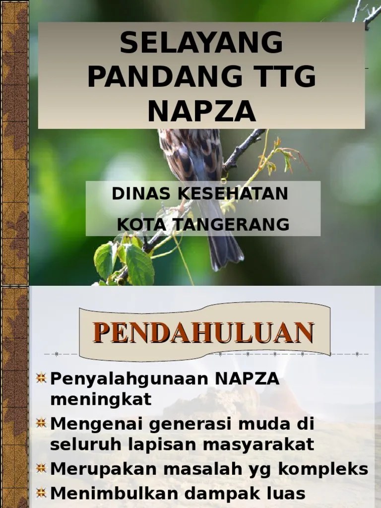 Bahan Penyuluhan Napza Di SMP | PDF