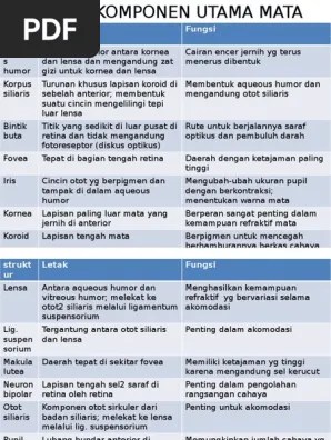 Komponen Utama Mata | PDF