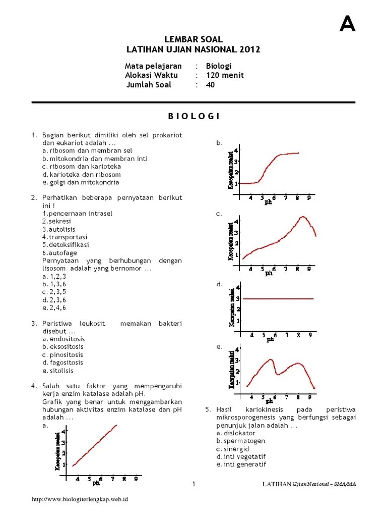Latihan Un 2012 | PDF
