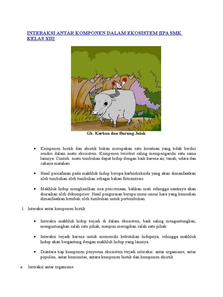 Interaksi Antar Komponen Dalam Ekosistem | PDF