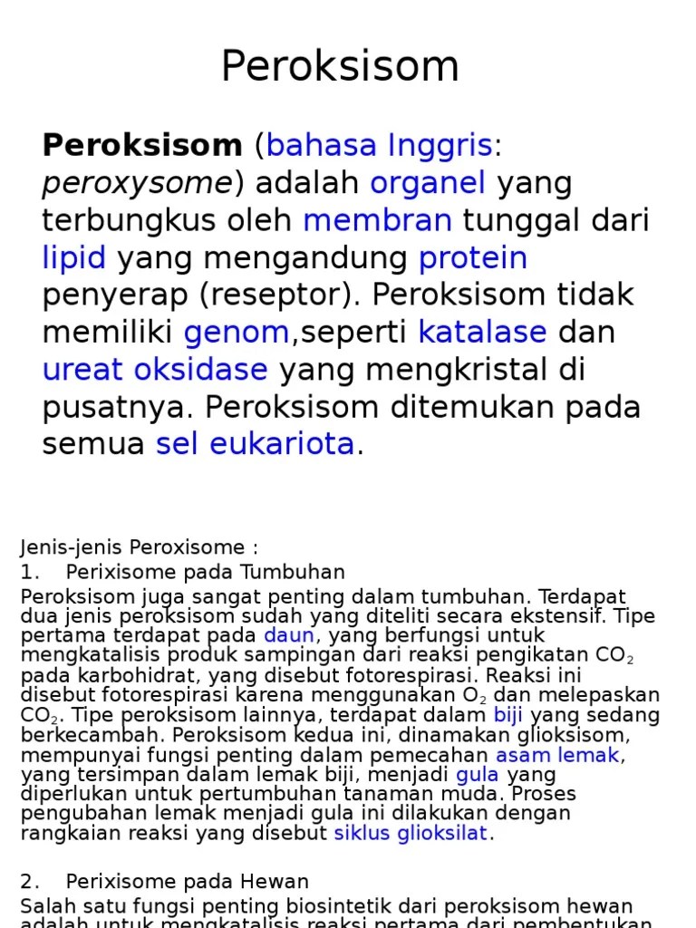 Peroksisom YEE