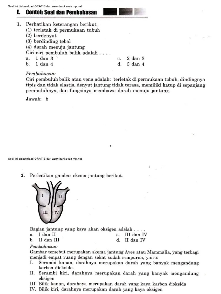 Soal Fokus Siap UN SMP-MTs Biologi 11 Sistem Peredaran Darah Pada Manusia |  PDF
