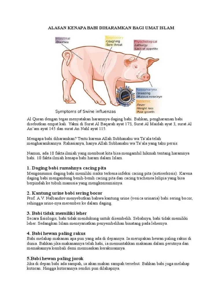 Alasan Kenapa Babi Diharamkan Bagi Umat Islam | PDF