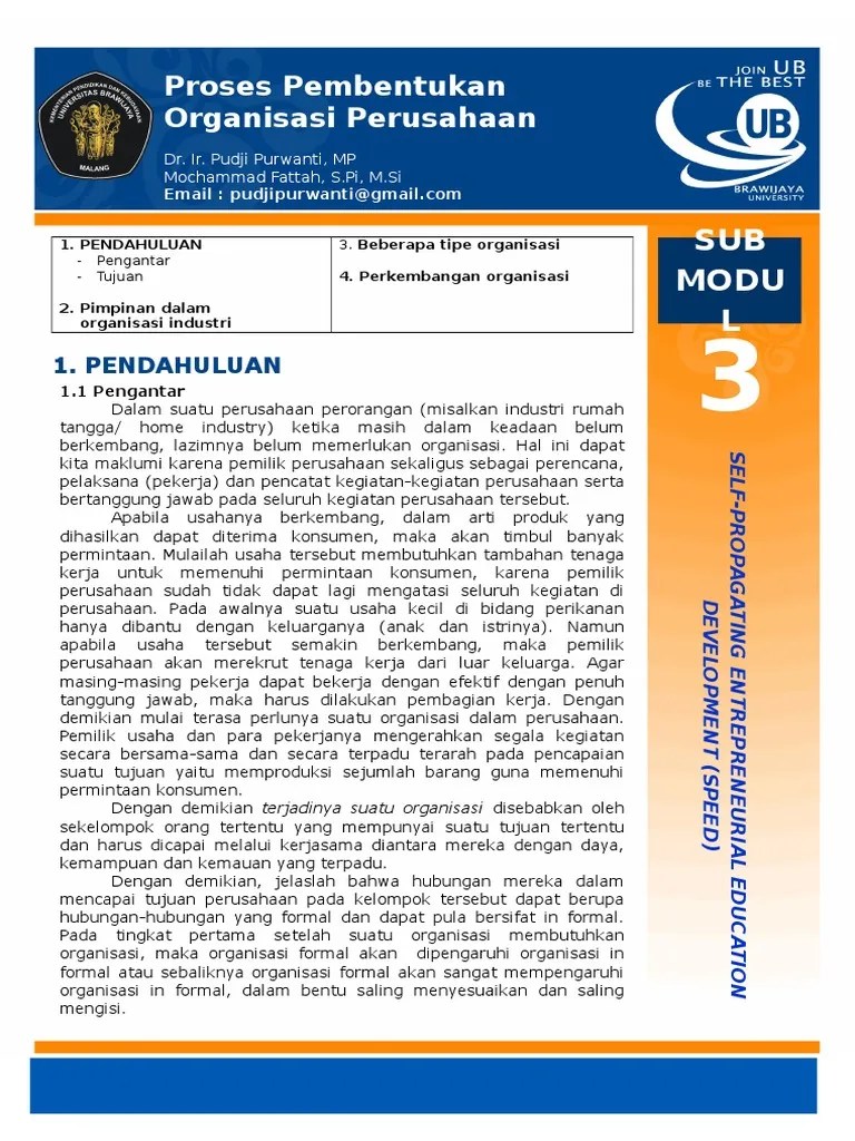 3a. Proses Pembentukan Organisasi Perusahaan | PDF
