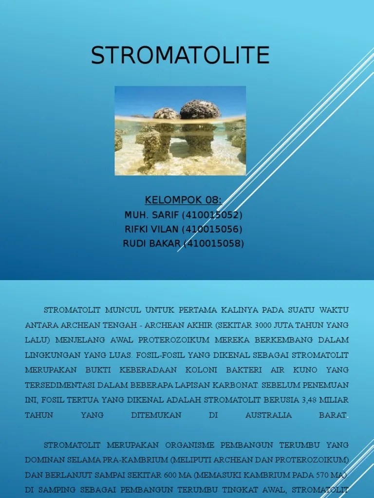 Stromatolite (Kelompok 08) | PDF