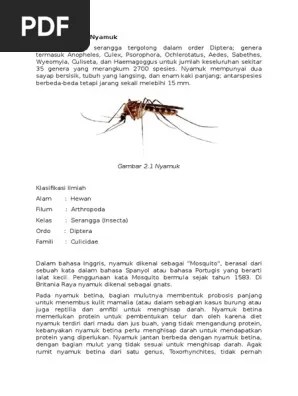 Teori Dasar Nyamuk | PDF