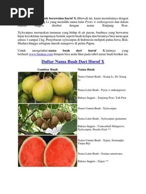 Nama Buah Dari Huruf X | PDF