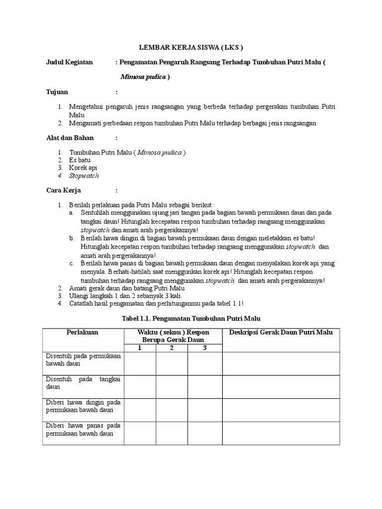 Lembar Kerja Siswa | PDF