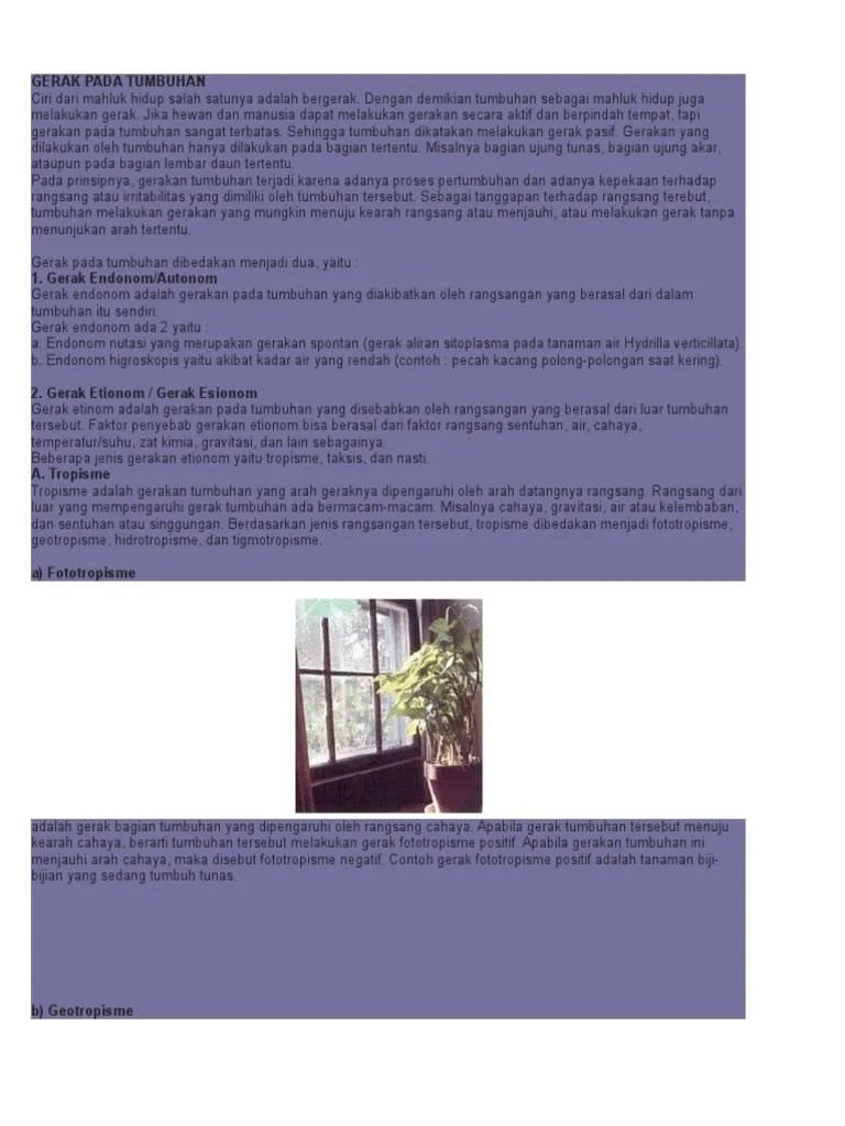 Sebutkan 2 Contoh Gerak Pada Tumbuhan Yang Termasuk Gerak Higroskopis