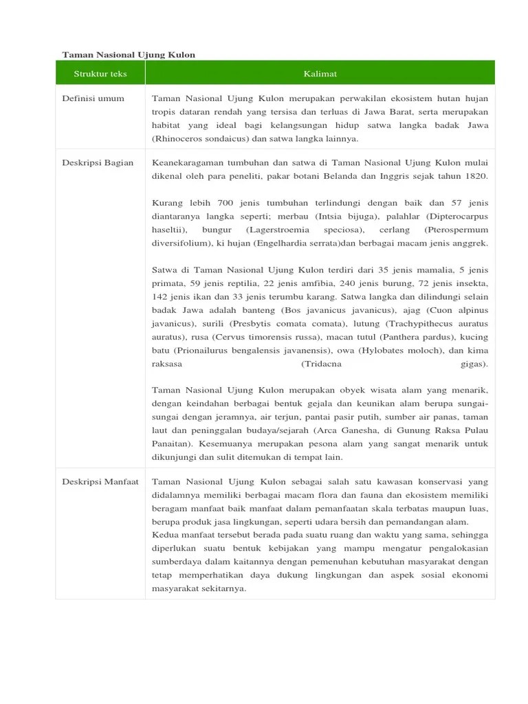 Teks Observasi Tentang Kucing Beserta Strukturnya - Berbagi Struktur