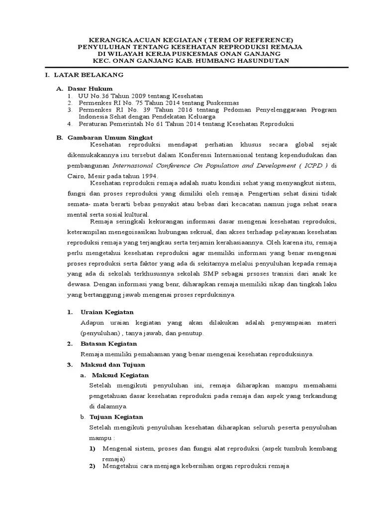 KAK Kesehatan Reproduksi Remaja | PDF