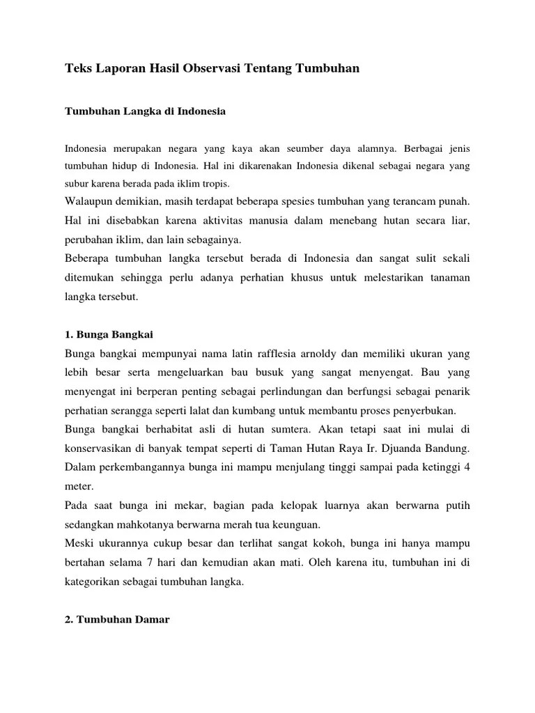 Teks Laporan Hasil Observasi Tentang Tumbuhan | PDF