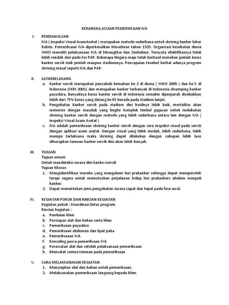 Kak Pemeriksaan Iva | PDF