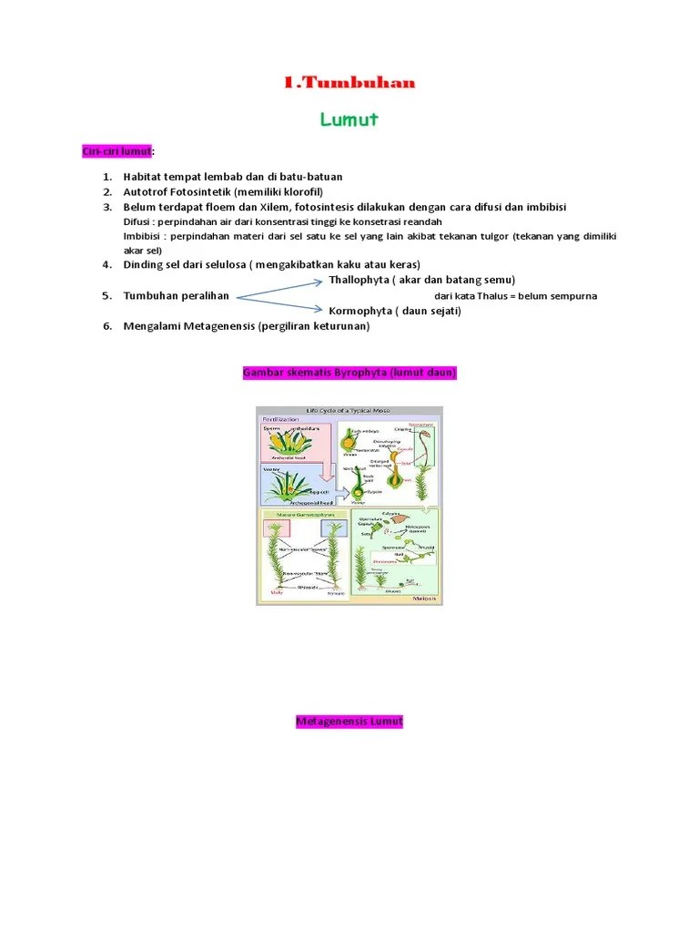 Pelajaran Biologi Kelas X Semester 2 - Cara Mengajarku
