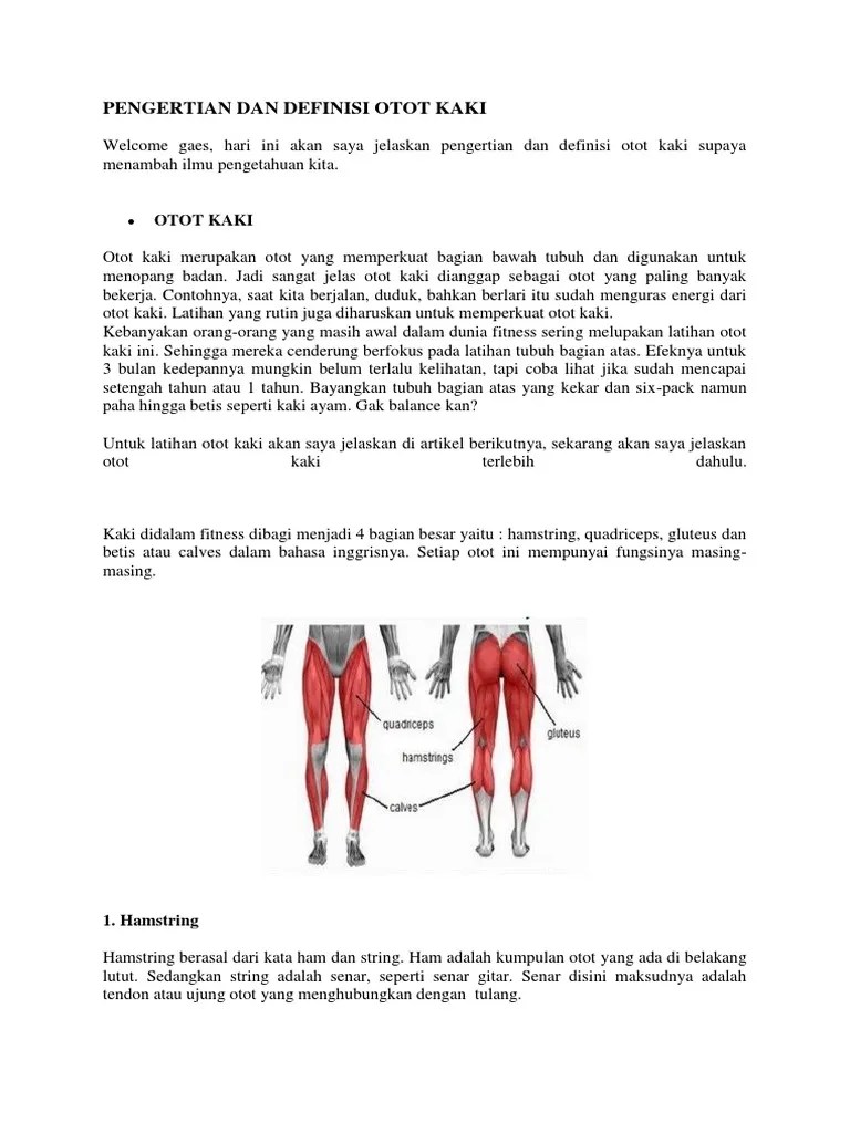 Pengertian Dan Definisi Otot Kaki | PDF