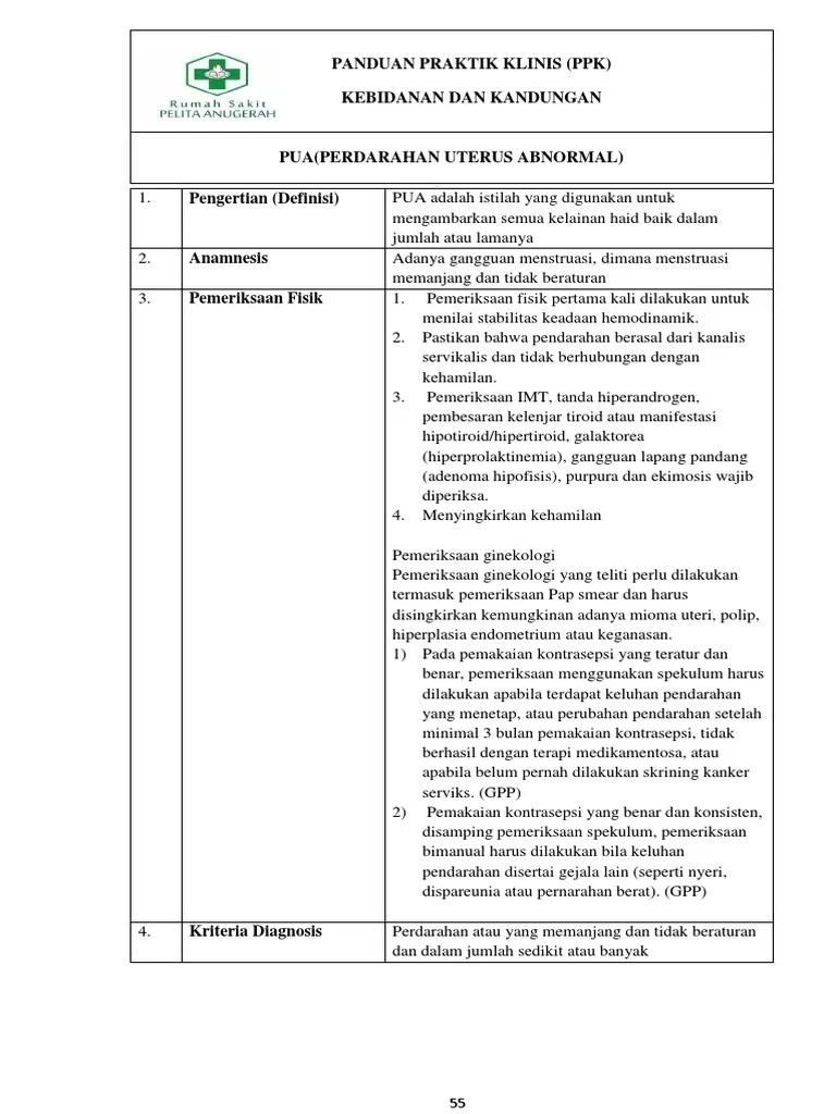 PPK PUA Lom Klar | PDF