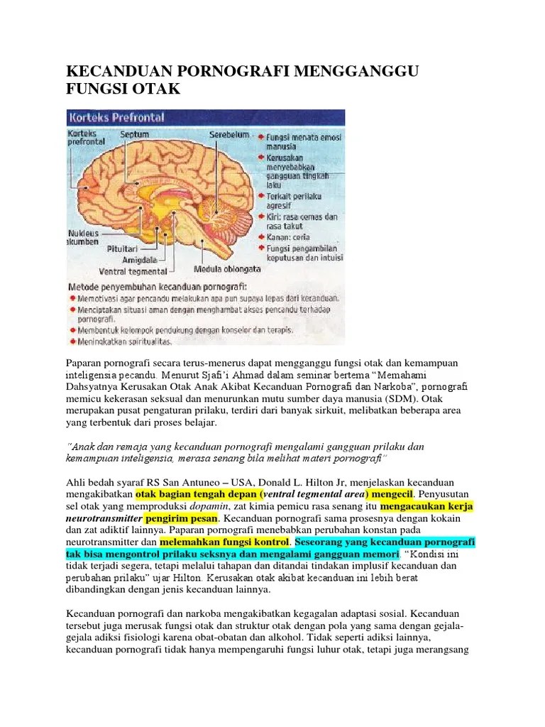 Kecanduan Pornografi Mengganggu Fungsi Otak | PDF