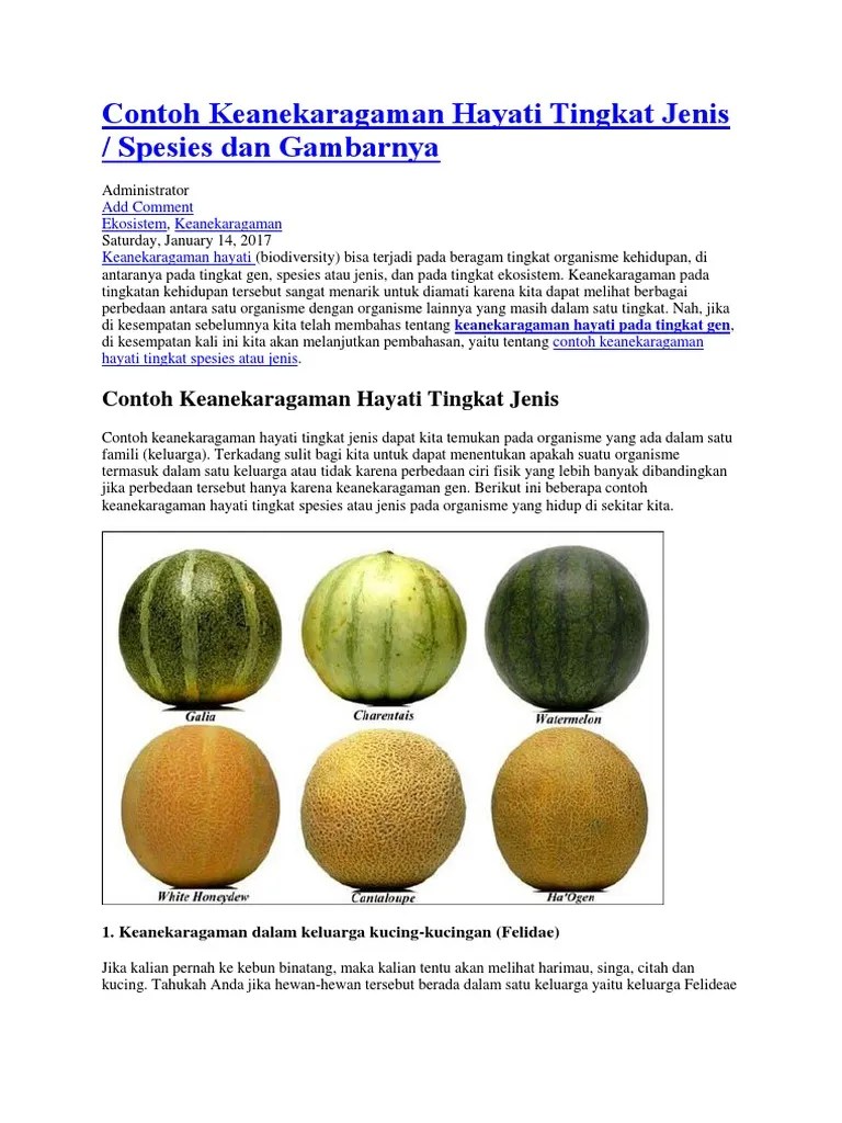 Keanekaragaman Hayati Tingkat Jenis