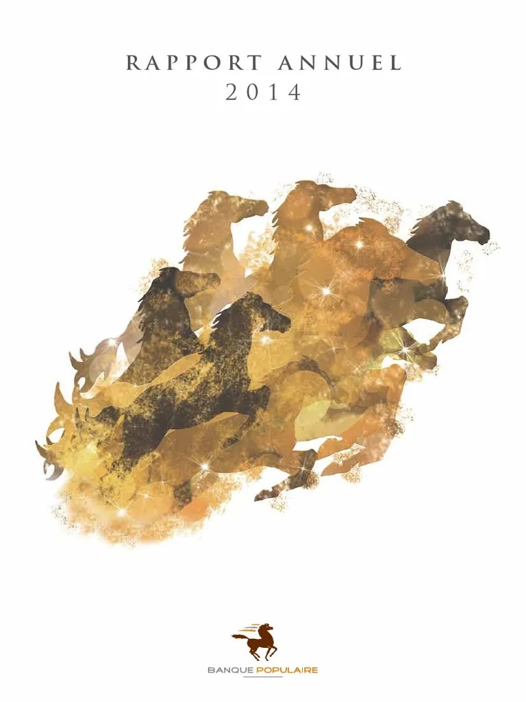 Ra 2014 VF | PDF | Maroc | Banques