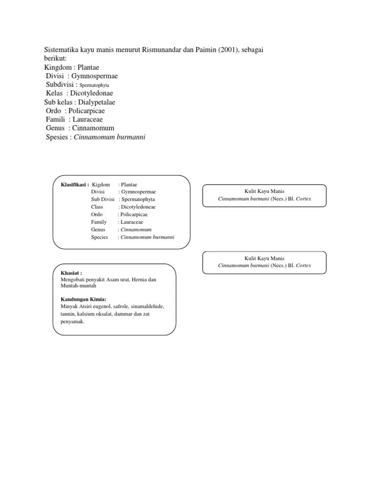 Sistematika Kayu Manis Menurut Rismunandar Dan Paimin | PDF