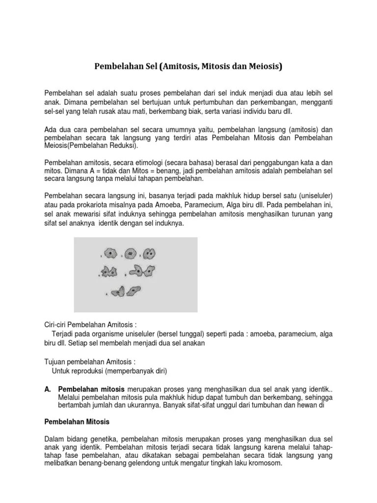 Materi Pembelahan Sel | PDF