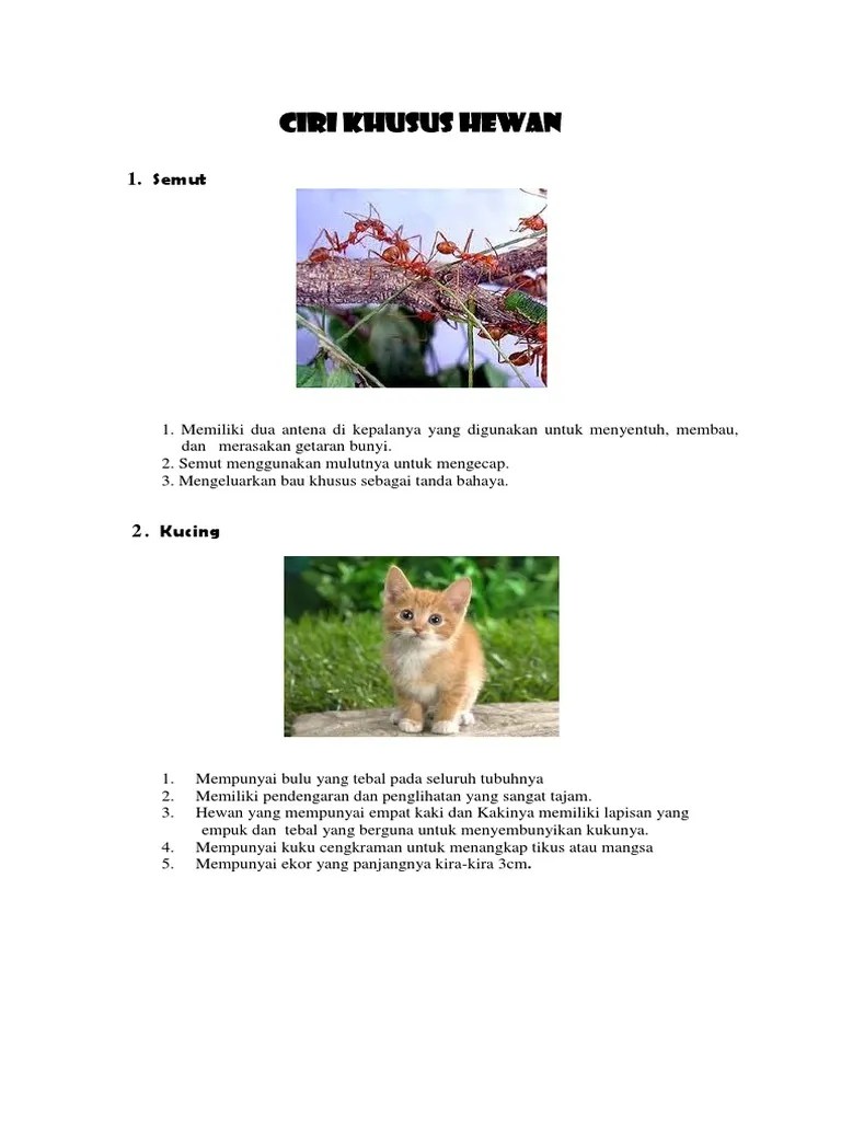 Ciri Khusus Hewan | PDF