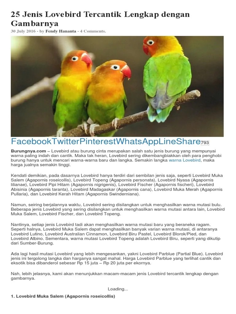 25 Jenis Lovebird Tercantik Lengkap Dengan Gambarnya | PDF