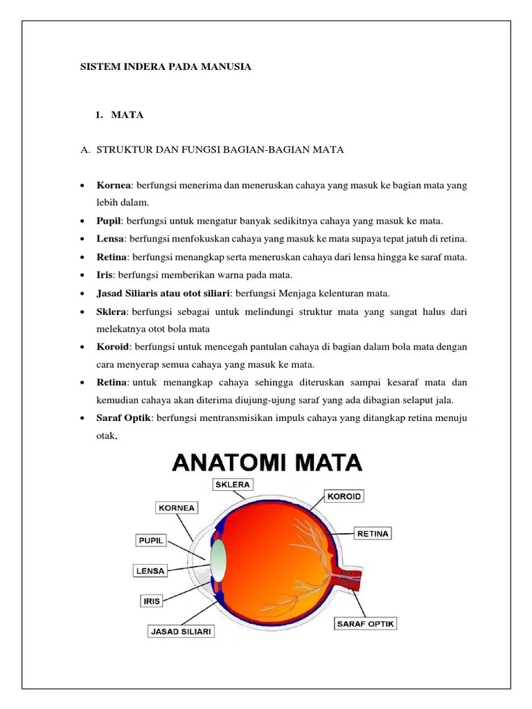 Struktur Dan Fungsi Bagian | PDF