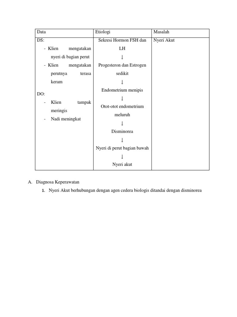 Nyeri Akut Evaluasi Implementasi | PDF