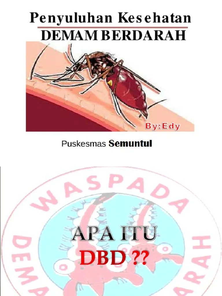 MATERI Penyuluhan PSN DBD Di Sekolah 2016 | PDF