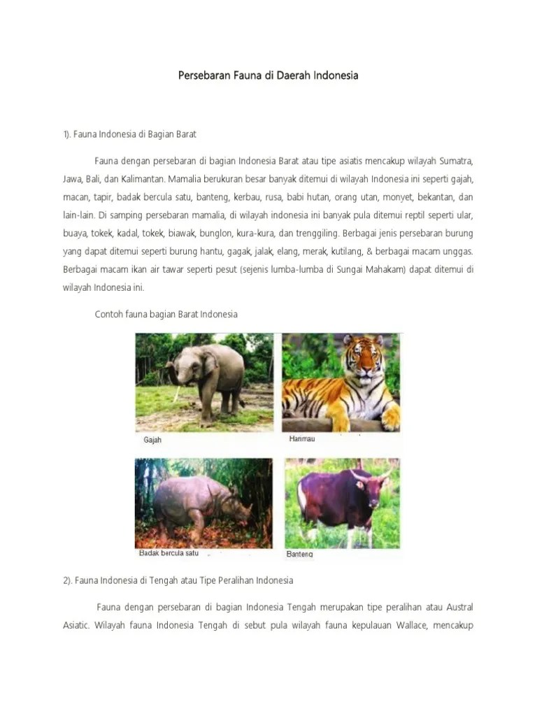Fauna Flora | PDF
