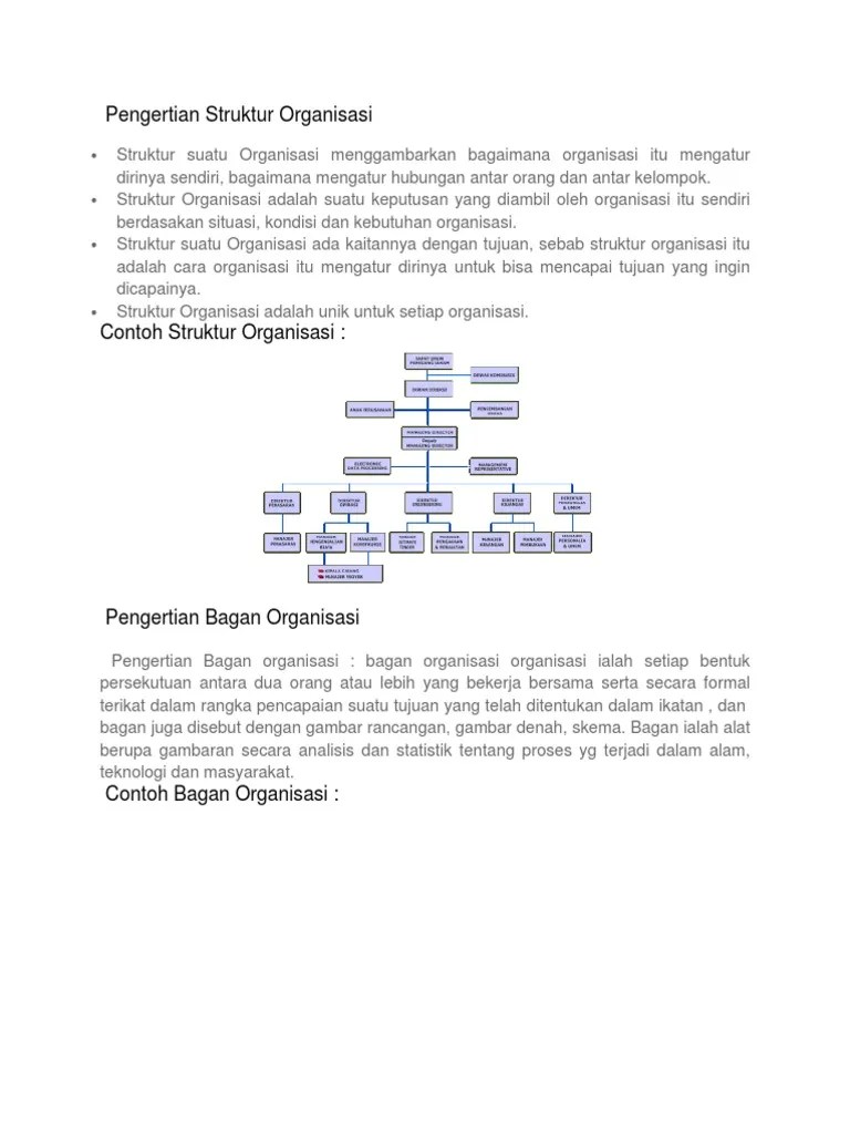 Pengertian Struktur Organisasi | PDF