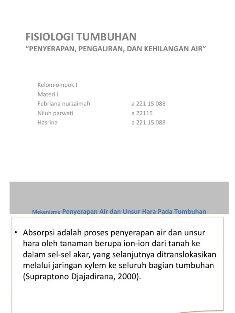 Fisiologi Tumbuhan: &ldquo;Penyerapan, Pengaliran, Dan Kehilangan Air&rdquo; | PDF