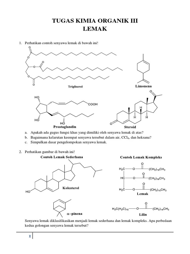 Tugas Lemak (Kimia Organik 3) | PDF