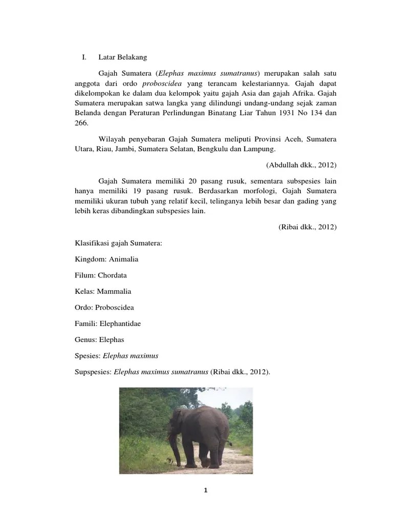 Gajah | PDF