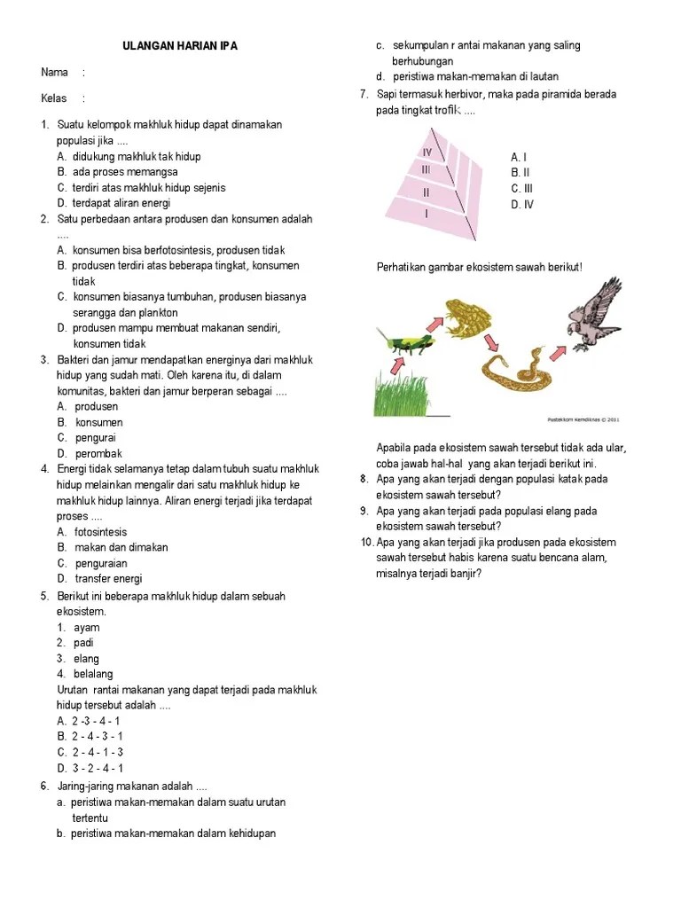 Soal Uh Kelas 7 Ekosistem | PDF