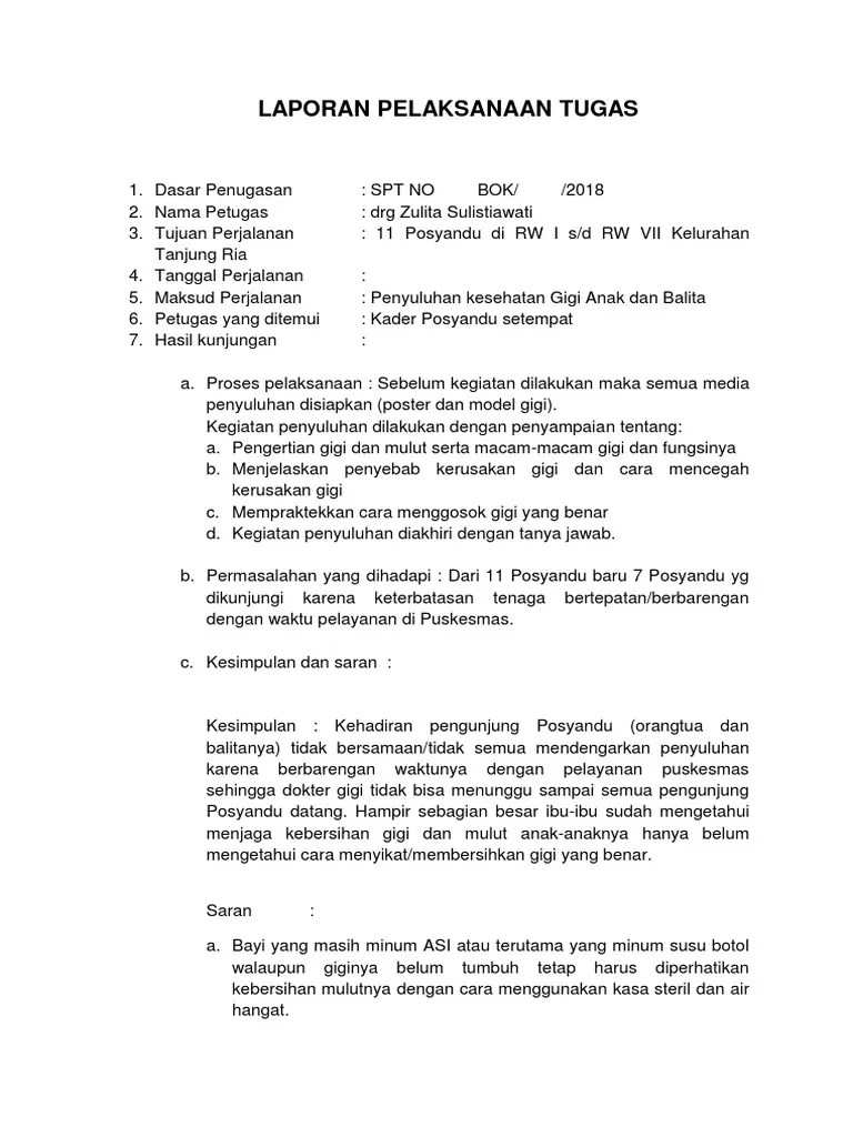 Laporan Pelaksanaan Tugas | PDF