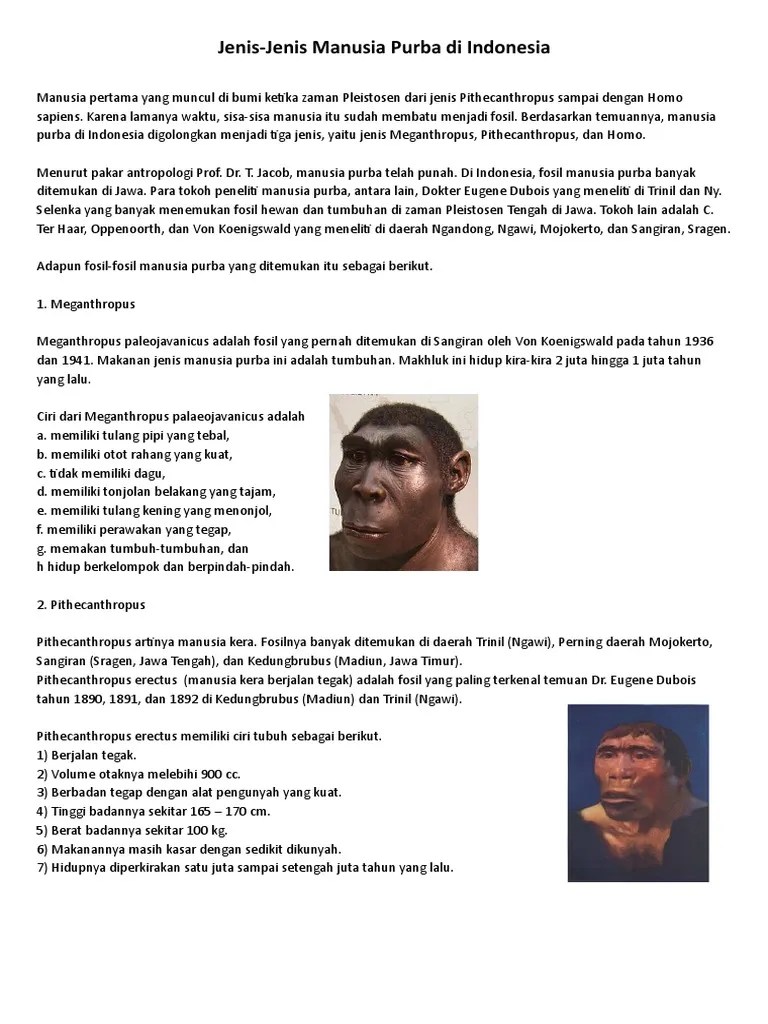 Kelompok Sejarah | PDF