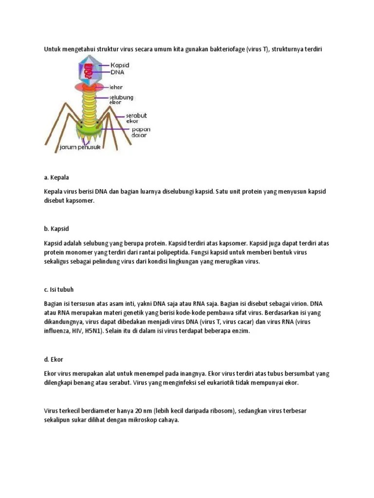 Untuk Mengetahui Struktur Virus Secara Umum Kita Gunakan Bakteriofage | PDF