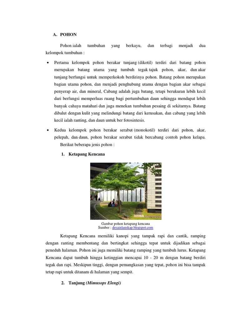 Pohon, Semak, Dan Perdu | PDF