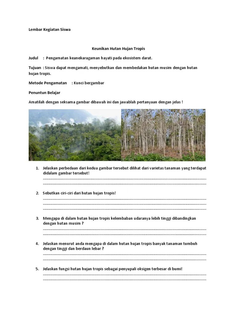 Contoh Lks Pengamatan Sub Materi Hutan Hujan Tropis | PDF