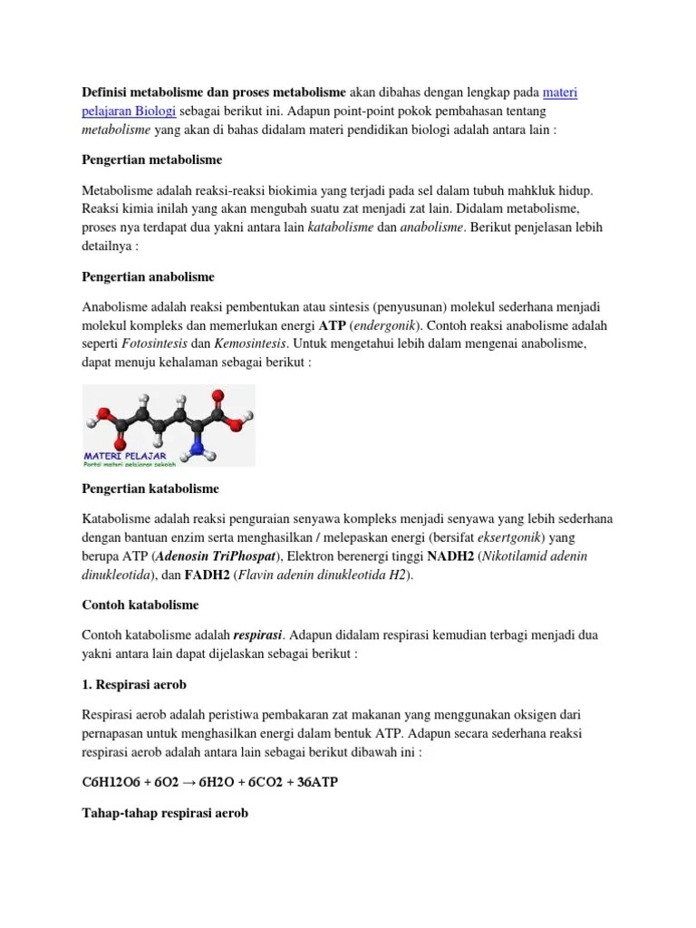 Berikut Yang Merupakan Contoh Anabolisme Adalah