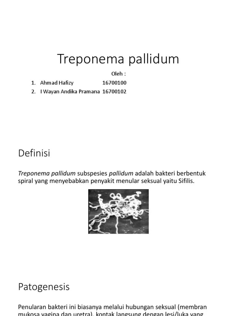 Treponema Pallidum | PDF